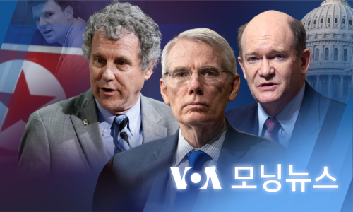 모닝취업정보 이미지