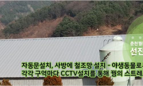 케거덩 춘천꿩농장 이미지
