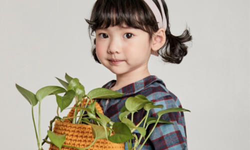 고후나비 이미지