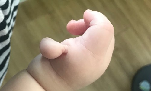 다온정보 이미지
