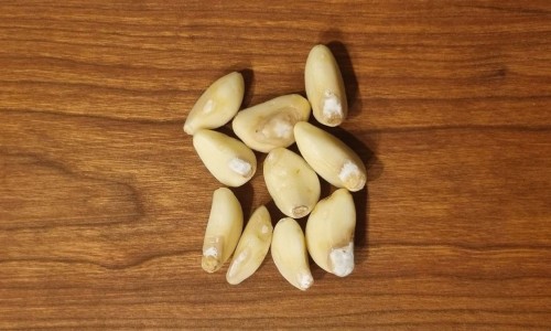 레알푸드 이미지