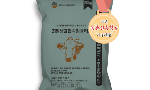에스에스컨설팅 이미지