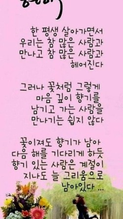 건강상회 이미지