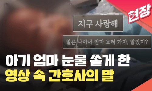 참인성 이미지