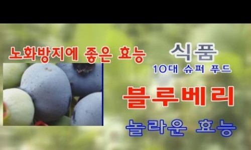 청양친환경블루베리농장 이미지