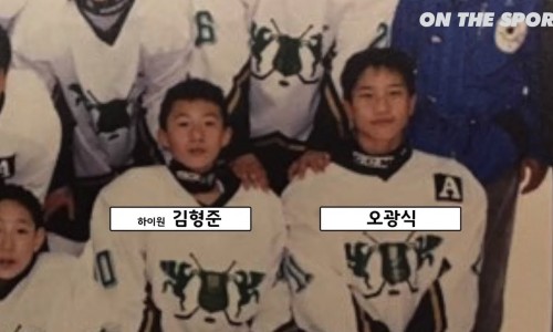 더스포츠 이미지