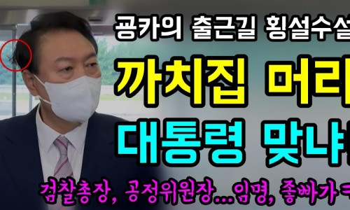 머리대통령 이미지