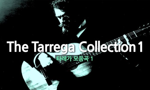 정연희 이미지