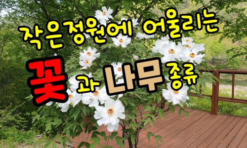 꽃과나무 이미지