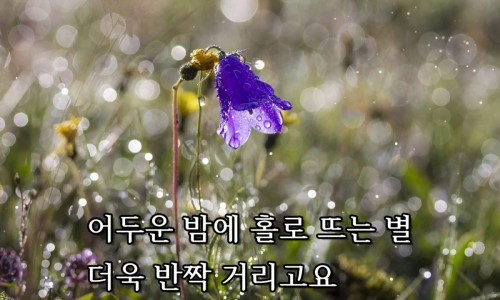 별7080 이미지
