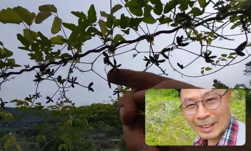 김동식스튜디오 이미지
