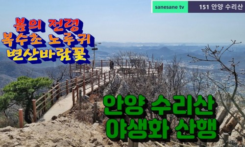 군포BYC 이미지