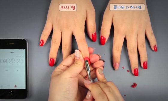 허니팟 이미지