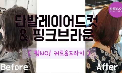 엘리야헤어 이미지