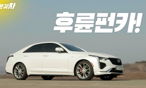 "캐딜락은 큰 전시장에서 봐야죠!"
강남 논현 전시장 확장 오픈