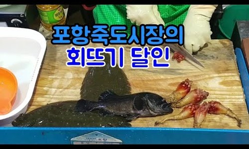 포항회센터 사진 2