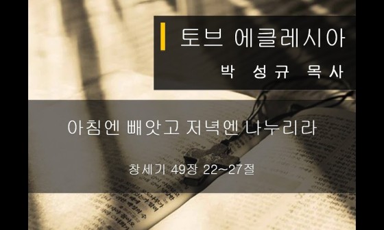 에클레시아의아침 이미지