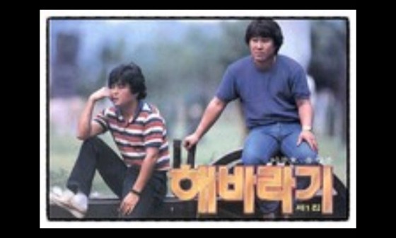 해바라기2 이미지