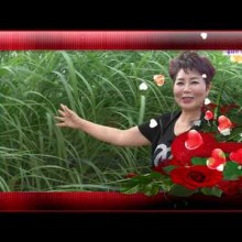 금영뮤직 이미지