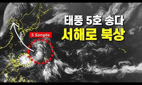 소박사 이미지