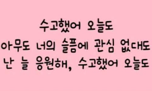 꽃으로노래하다 이미지