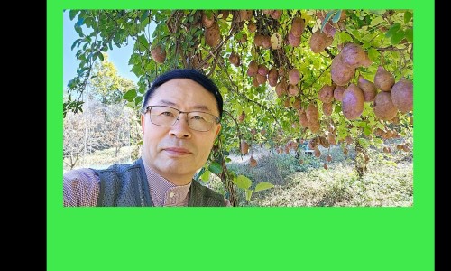 김동식스튜디오 이미지