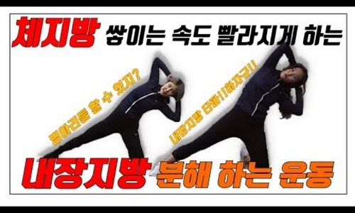 삐약스핏 이미지