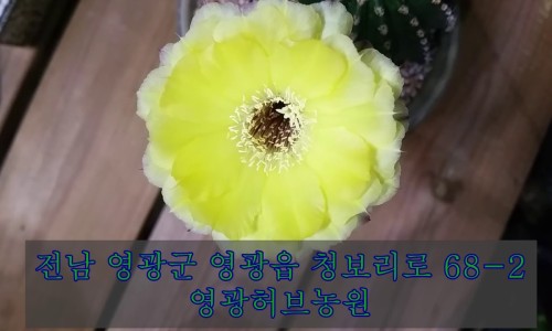 천년의빛농장 이미지
