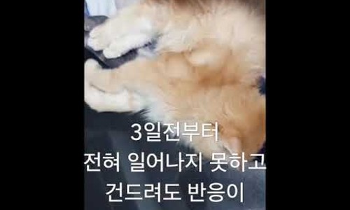 소명한방병원 이미지