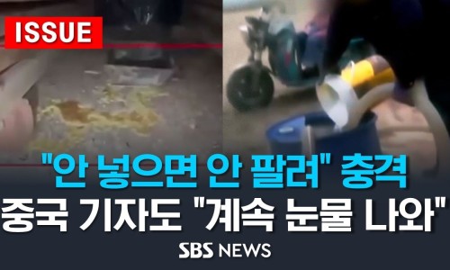 과일판다 이미지