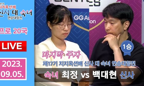 배*대 이미지