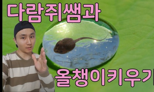 나들아이 이미지