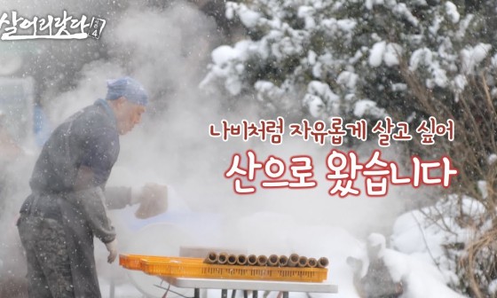 월인천강나비황차원 이미지
