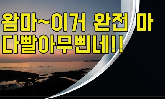 문돼지 이미지