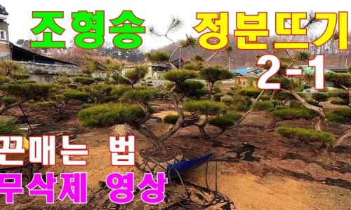 만물조경 이미지