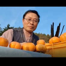 김동식스튜디오 이미지