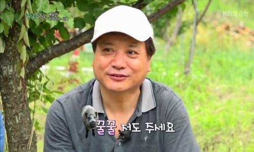 감동골 이미지