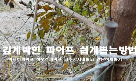 뽑기하우스 이미지