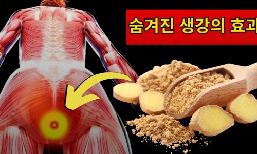 생강부엌 이미지