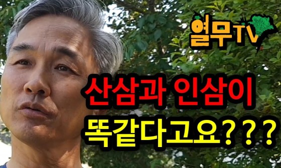 대한인삼 이미지
