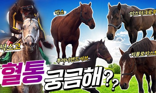 한결스포츠 이미지