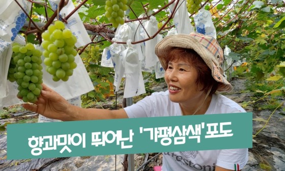 율길농원 이미지
