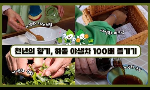 지리흙집황토마을 이미지