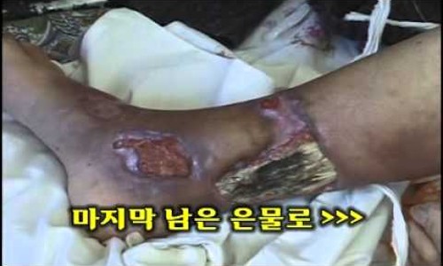 은코코 이미지