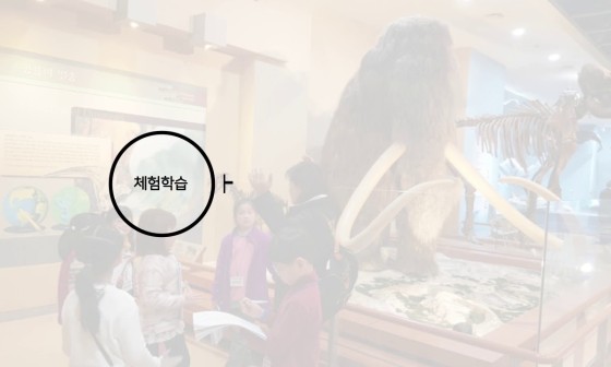 하연 이미지
