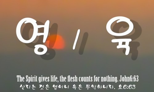 영과육 이미지