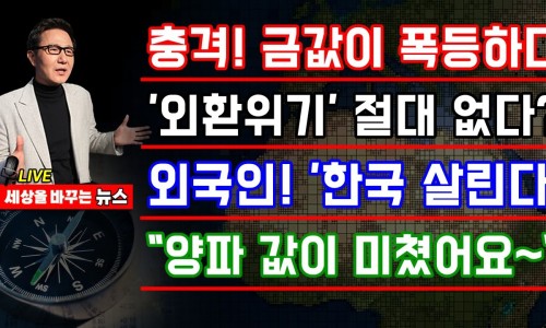 주식한돈 이미지