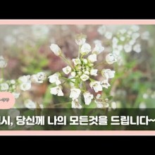 꽃프로포즈PROPOSE 이미지
