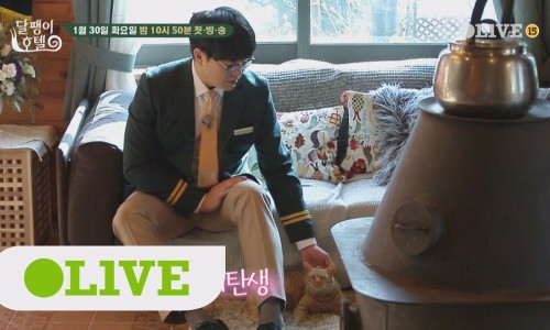 달팽이민박 이미지