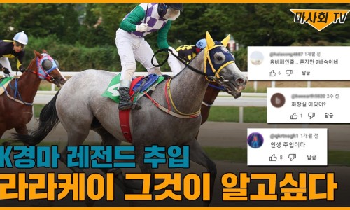 라라기획 이미지